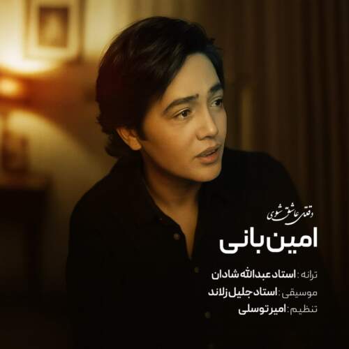 دانلود آهنگ بنام وقتی عاشق شوی با صدای امین بانی