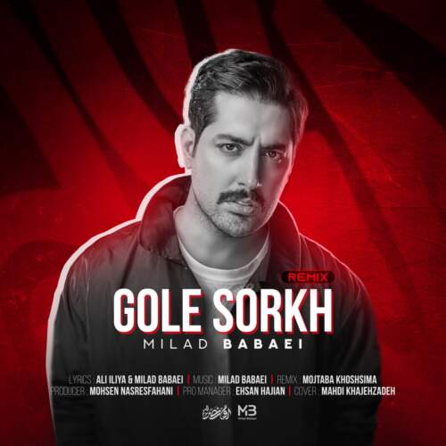 دانلود آهنگ بنام گل سرخ (مجتبی خوش سیما ریمیکس) با صدای میلاد بابایی