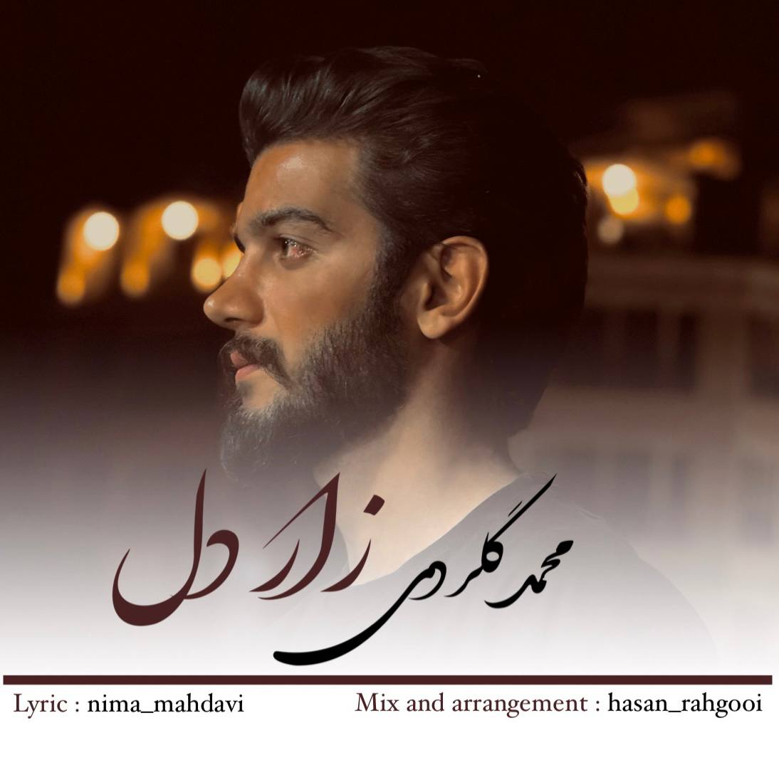 دانلود آهنگ بنام زار دل با صدای محمد گلردی